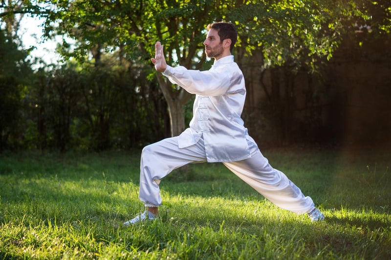 Wu/Hao Style Tai Chi